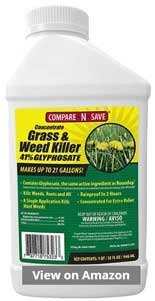 Compare N Save Grass and Weed Killer