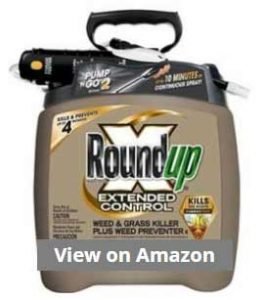 Roundup Control Weed and Grass Killer