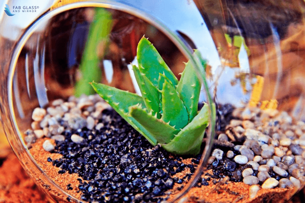 Dazzle with Potted Plants and Flowers