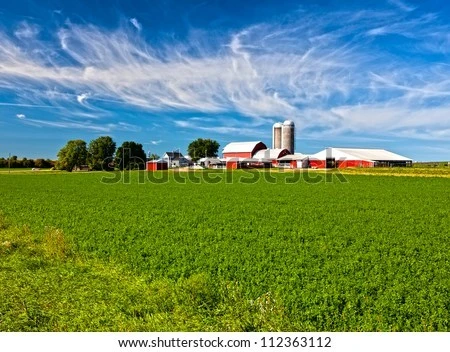 Organize Your Plot of Land: Here’s How