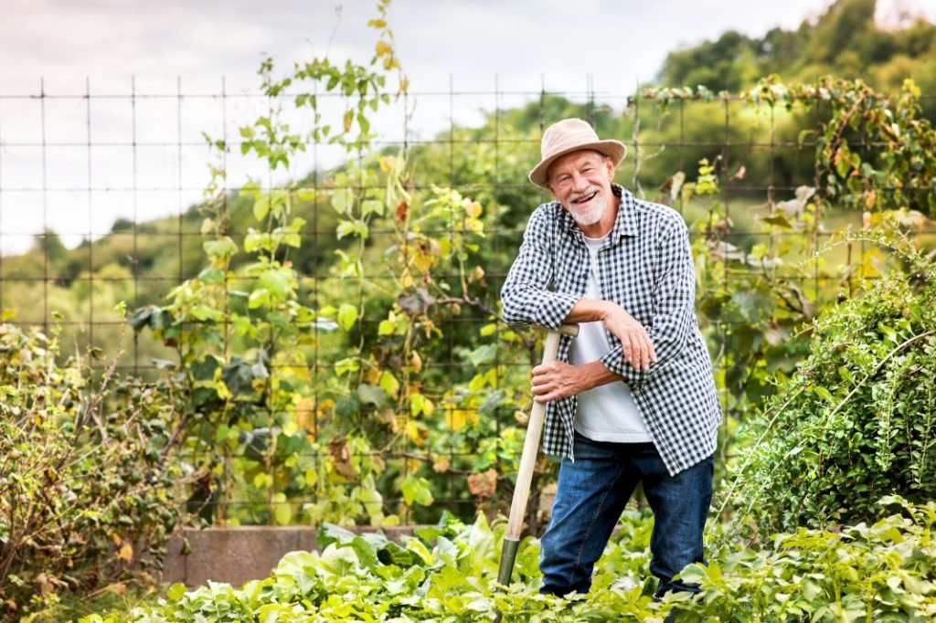 Prepare the Garden
