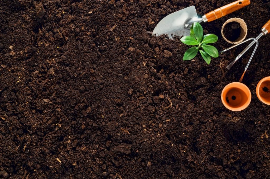 Plan Your Garden Space